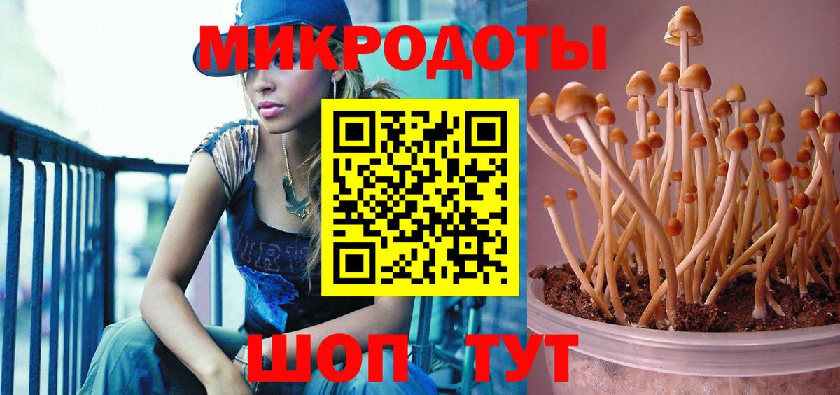 Ростов-на-Дону  Галлюциногенные грибы прущие грибы  Псилоцибиновые грибы GOLDEN TEACHER  Вход с VPN 